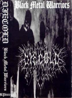 Diecold : Black Metal Warriors